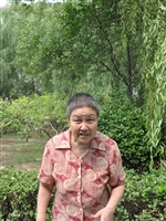 韩圆